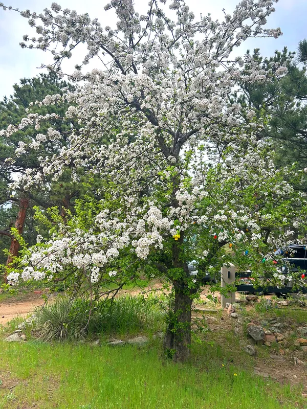 $1,875,000 | 1164 Peakview Circle, Boulder, CO 80302