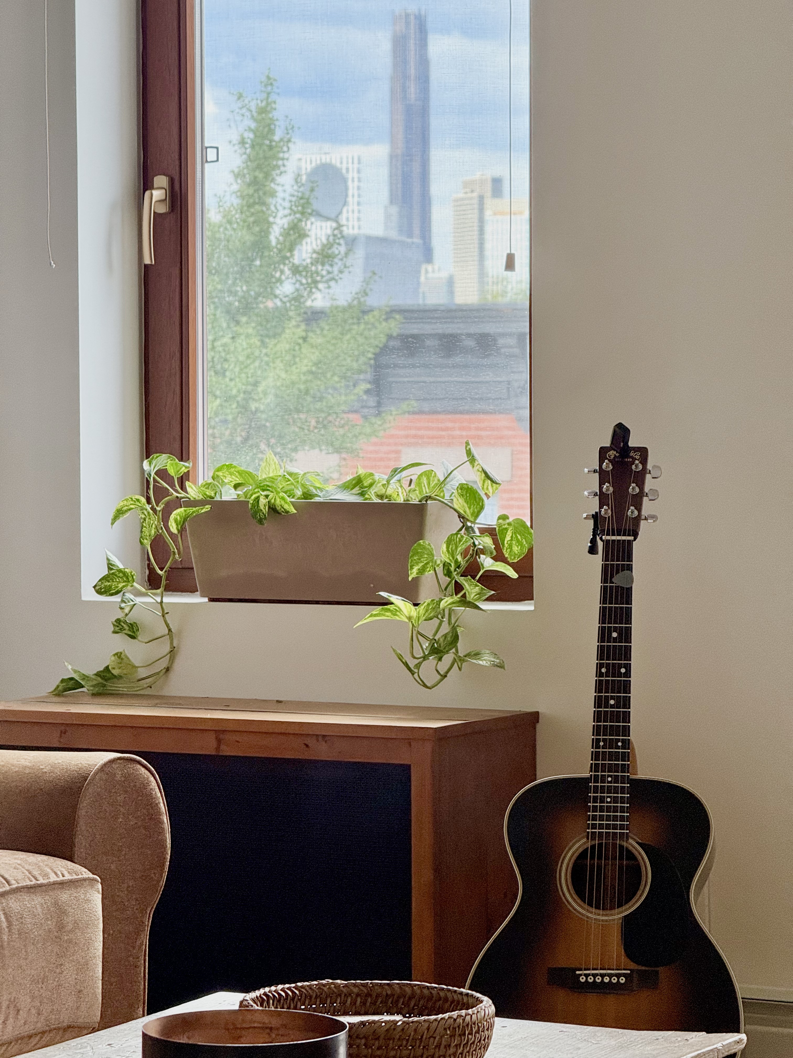 394 12th Street, Unit 5 Brooklyn, NY 11215 - Photo 3 of 14 a table with a potted plant and a window