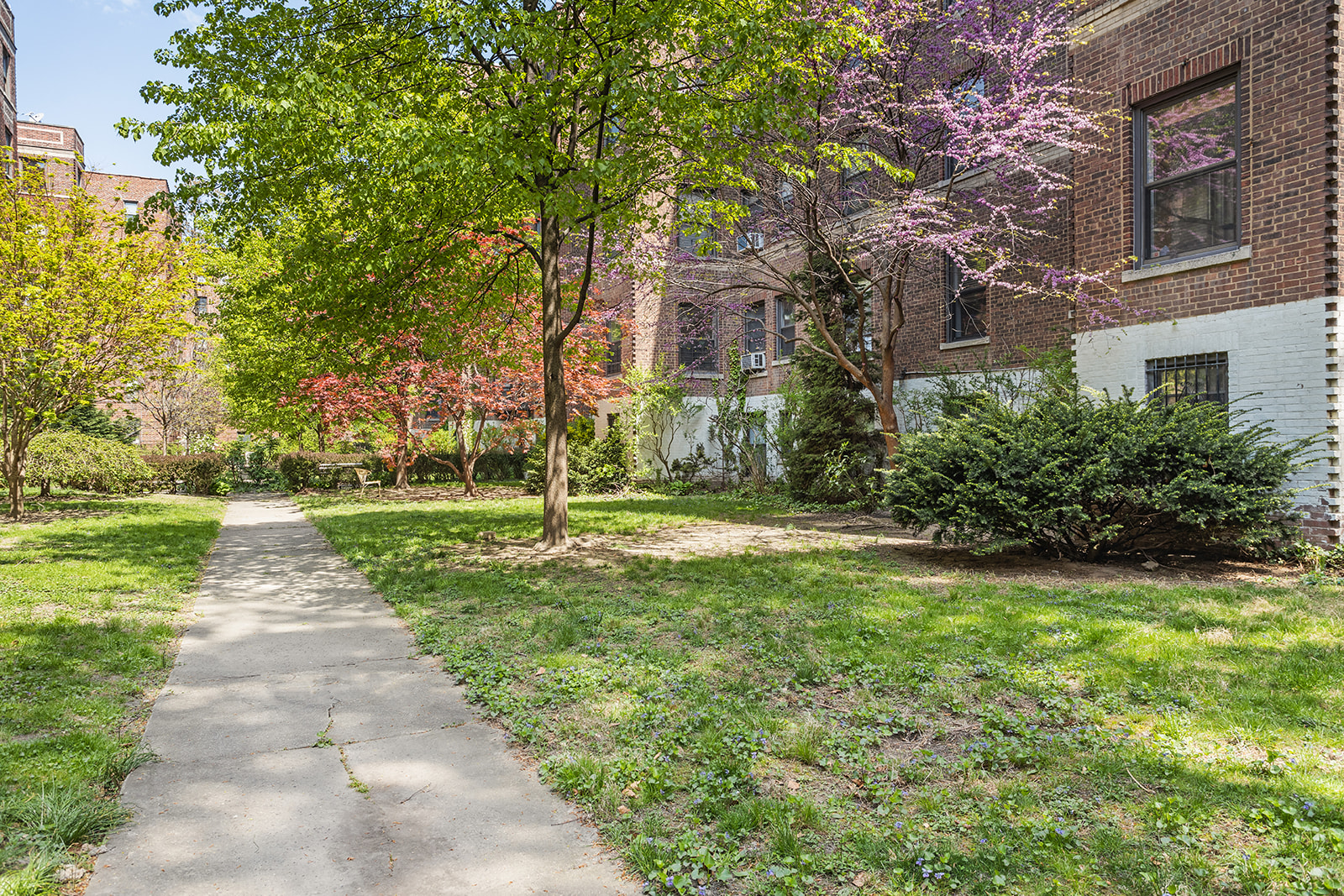 37-16 80th Street, Unit 32 Queens, NY 11372 - Photo 12 of 13 a view of a yard with plants and large trees
