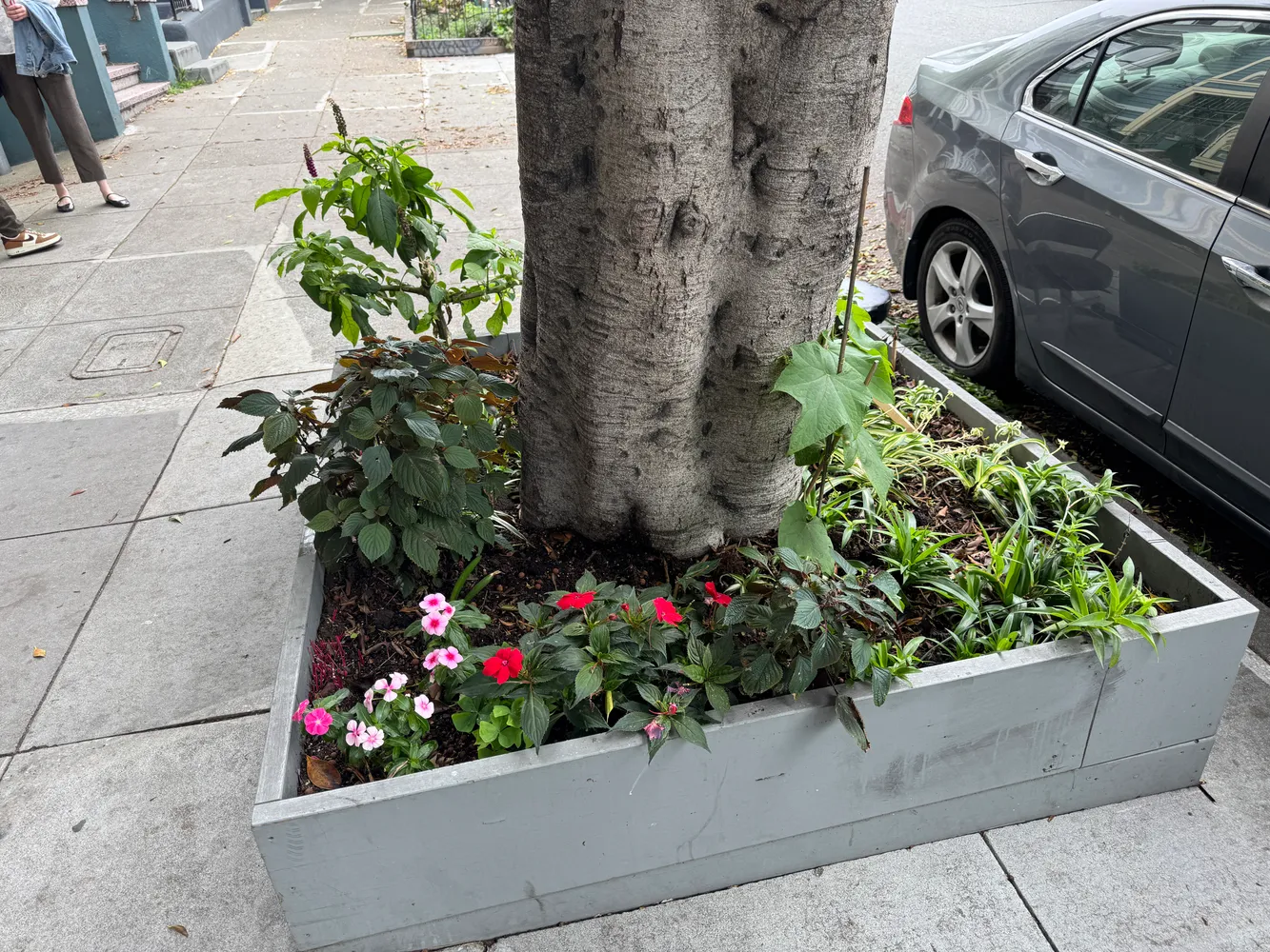 a front view of a house with a yard and flowers