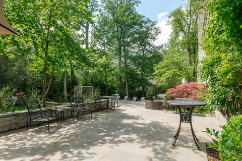 a view of a garden with large trees
