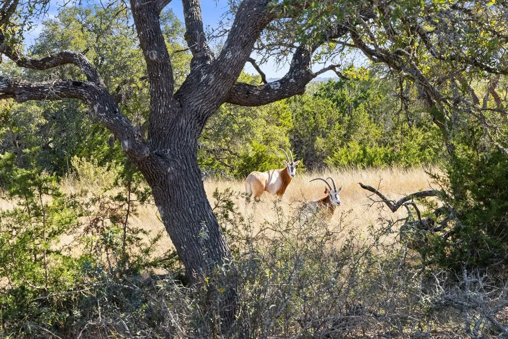 $1,750,000 | 1292 Upper Turtle Creek Road, Kerrville, TX 78028
