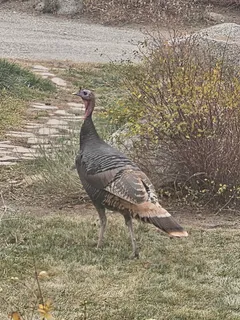 $2,100,000 | 323 Overlook Lane, Boulder, CO 80302