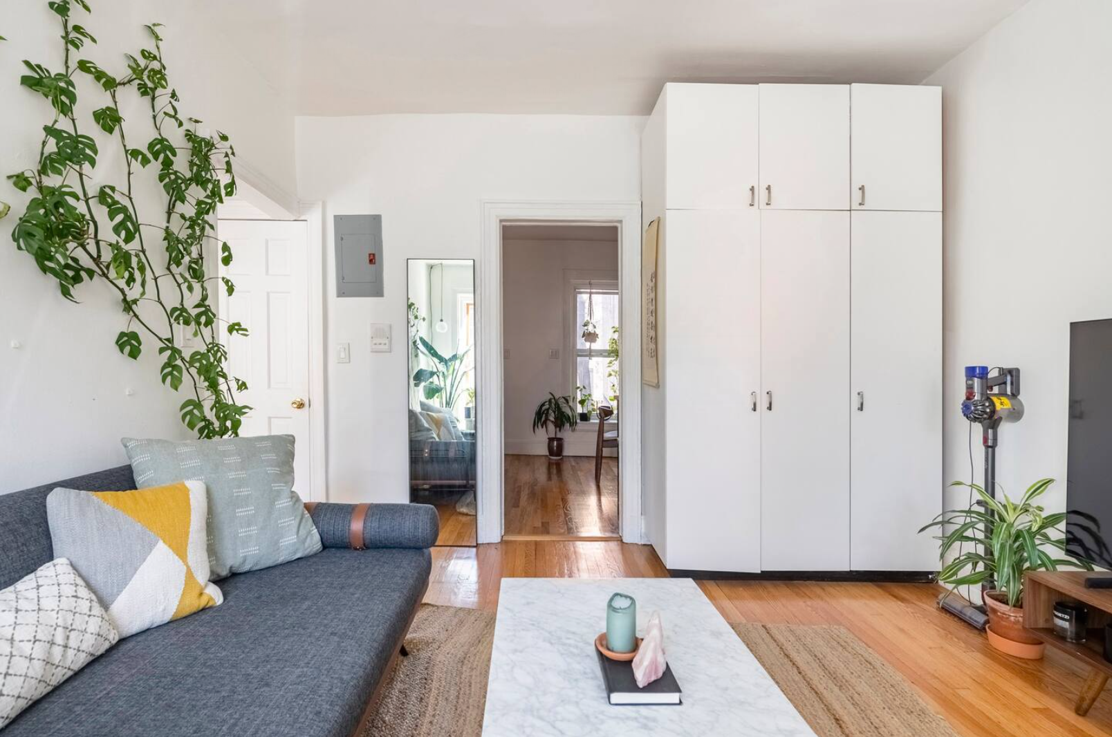 85 Bergen Street, Unit B2 Brooklyn, NY 11201 - Photo 3 of 10 a living room with furniture and a potted plant