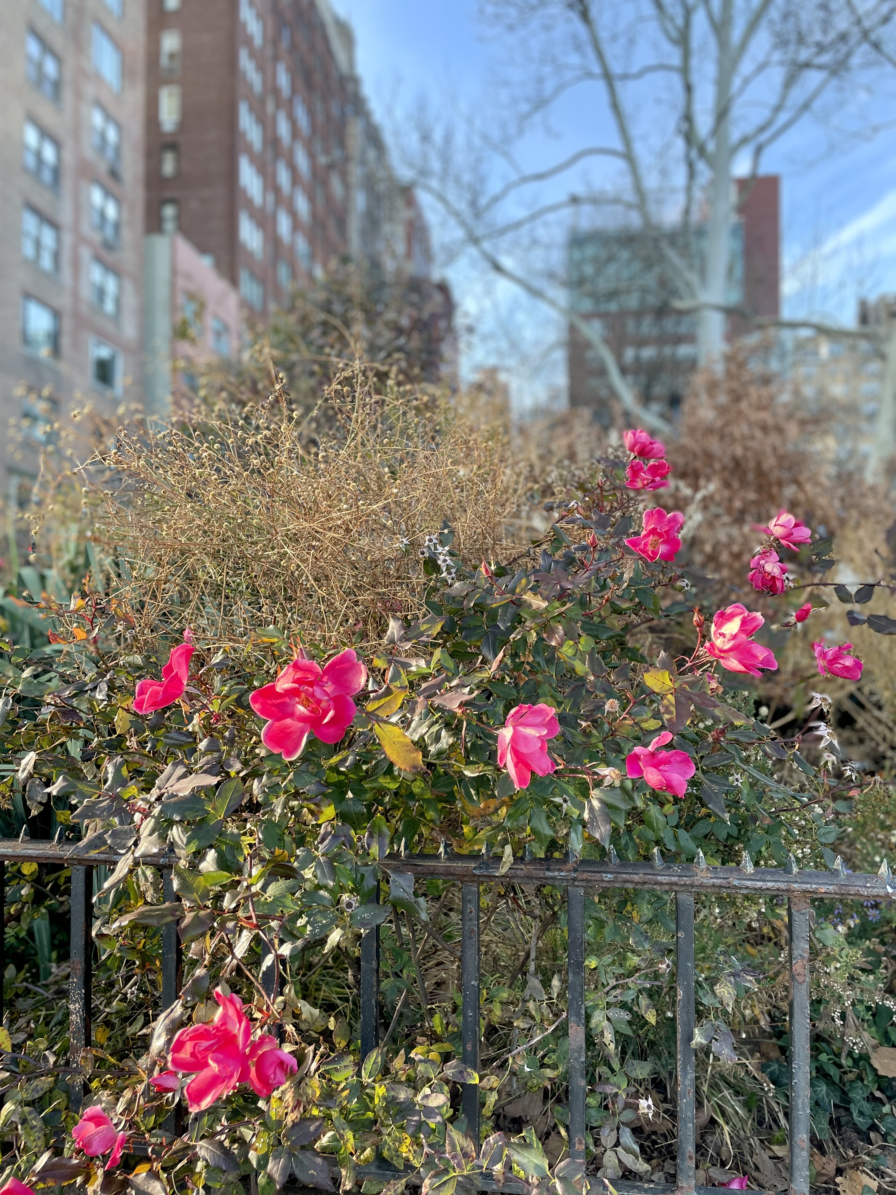 237 East 88th Street, Unit 104 Manhattan, NY 10128 - Photo 7 of 8