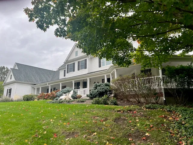 a view of a backyard with plants and a patio