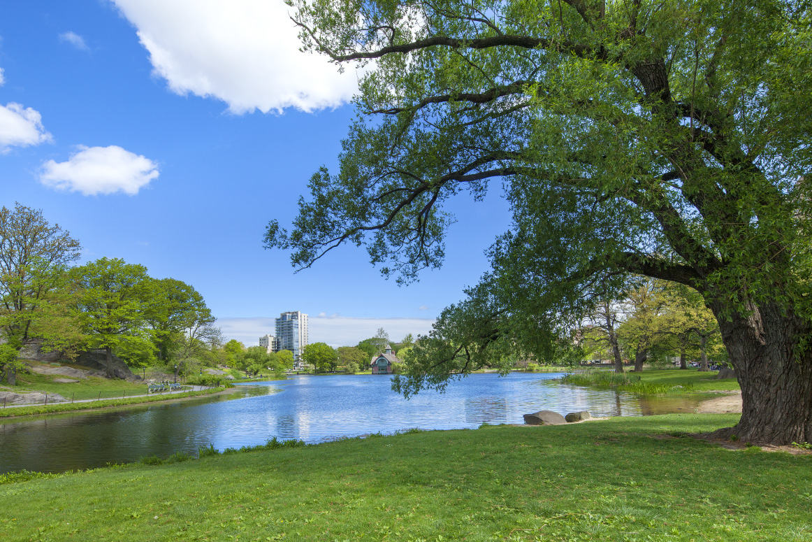 319 East 105th Street, Unit 5A Manhattan, NY 10029 - Photo 10 of 13 a view of a lake with a yard