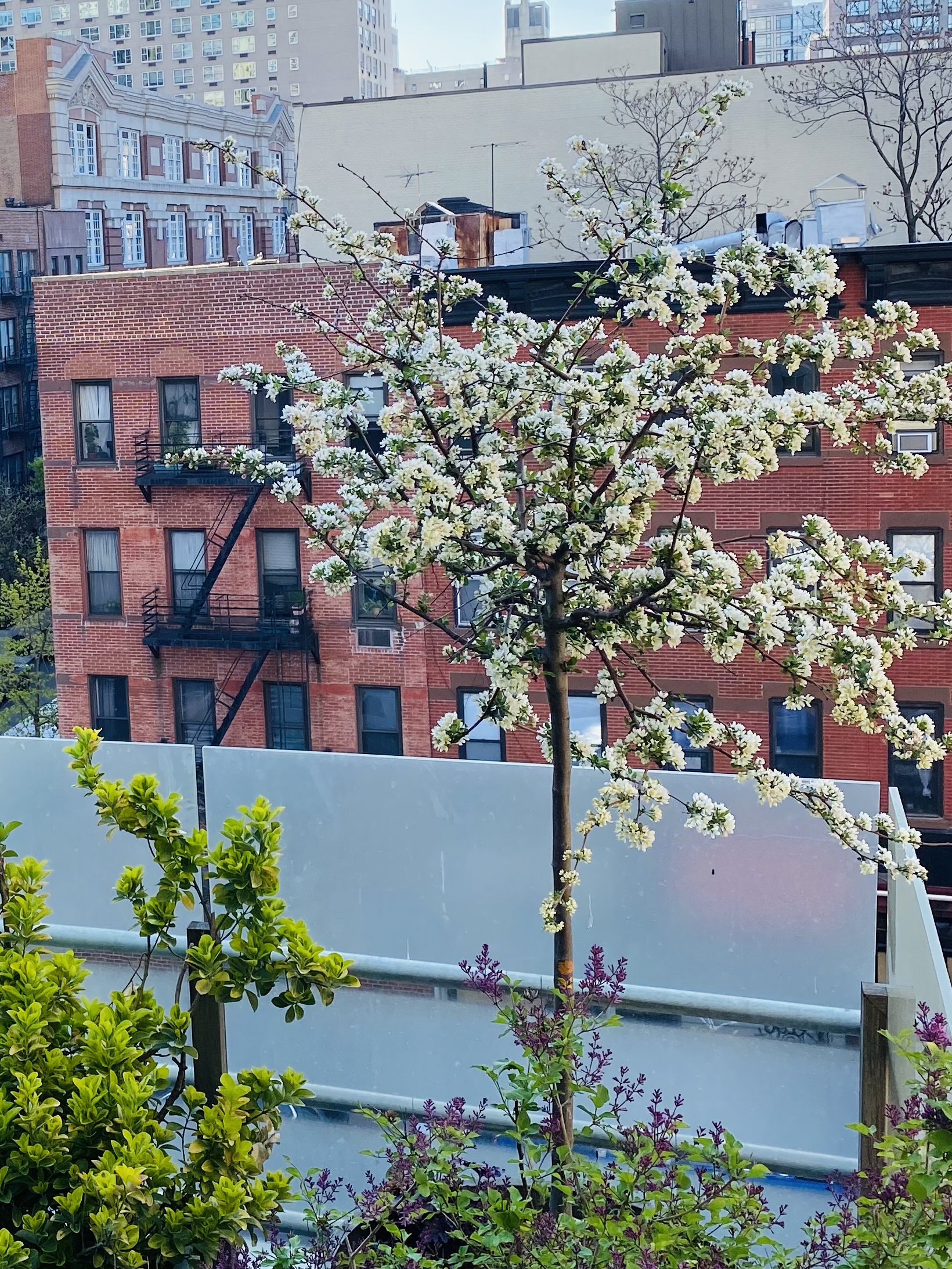 360 East 88th Street, Unit 4E Manhattan, NY 10128 - Photo 18 of 28