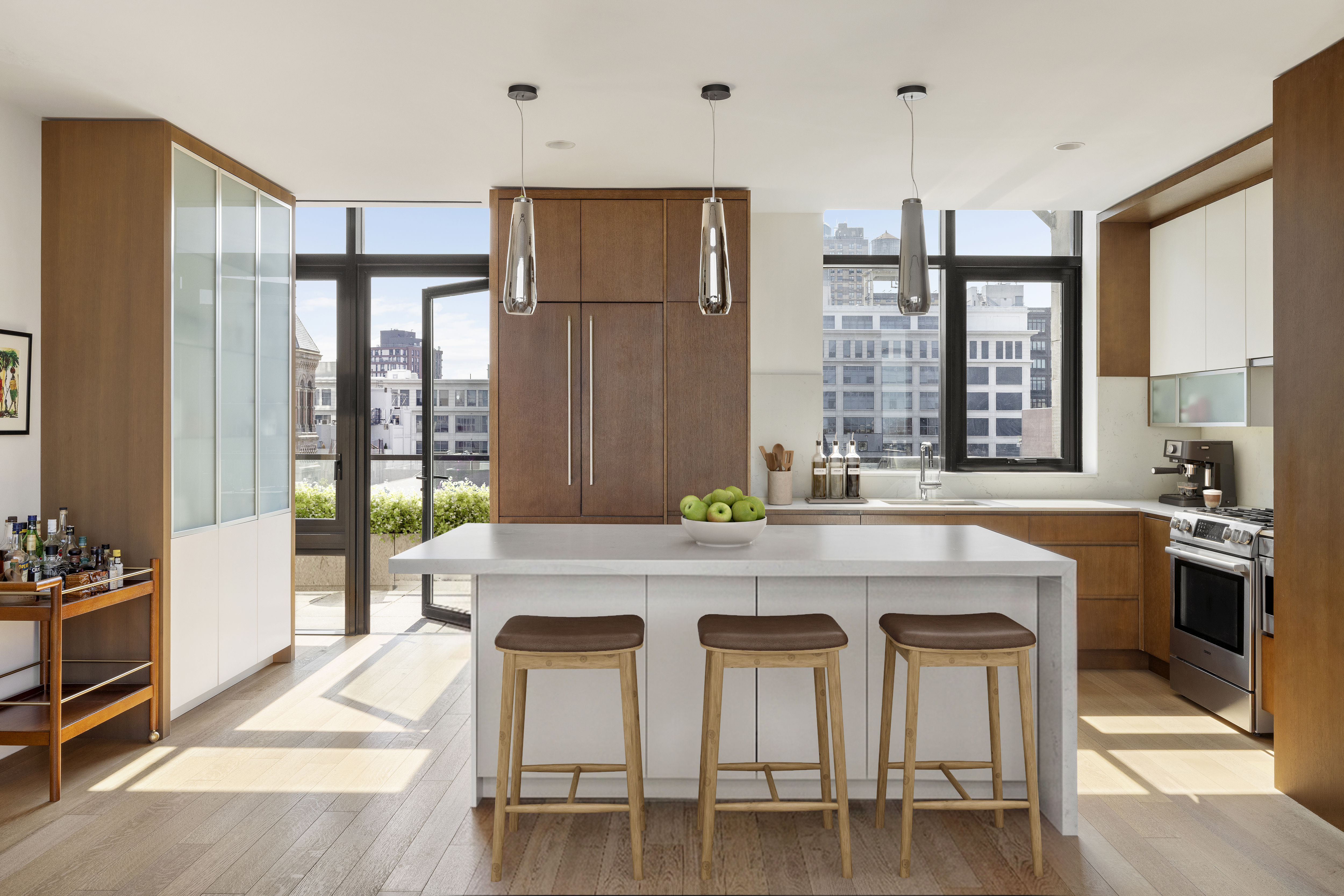 500 Waverly Avenue, Unit PH1 Brooklyn, NY 11238 - Photo 4 of 17