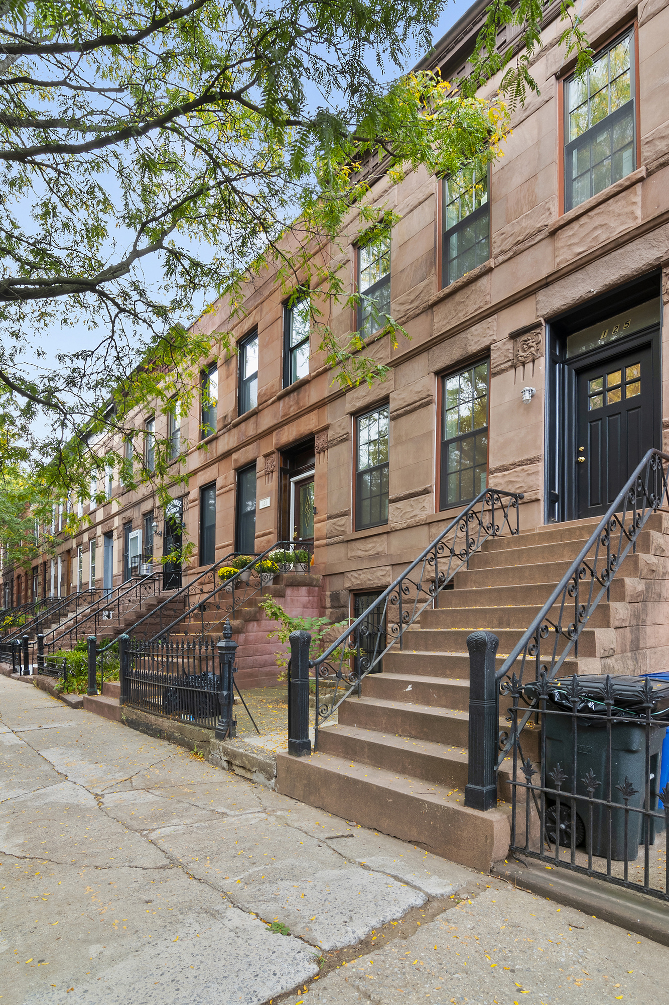 125 Chauncey Street Brooklyn, NY 11233 - Photo 14 of 15