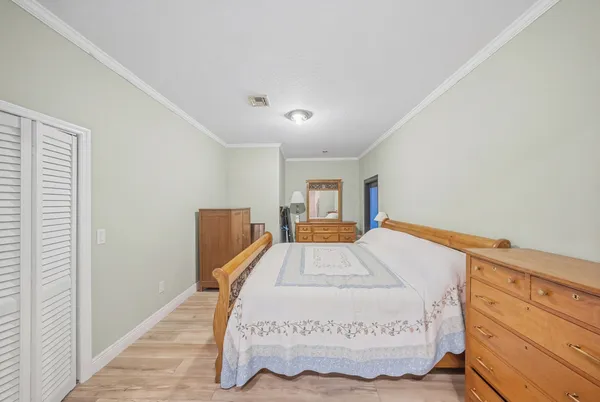 a view of a park with large trees