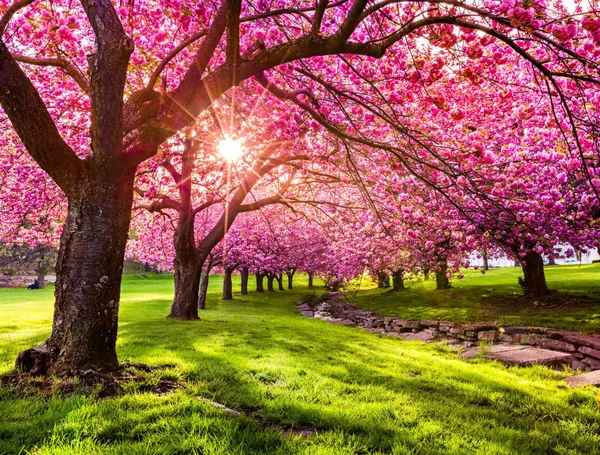 $8,250 | 835 Carroll Street, Unit 4 | Park Slope