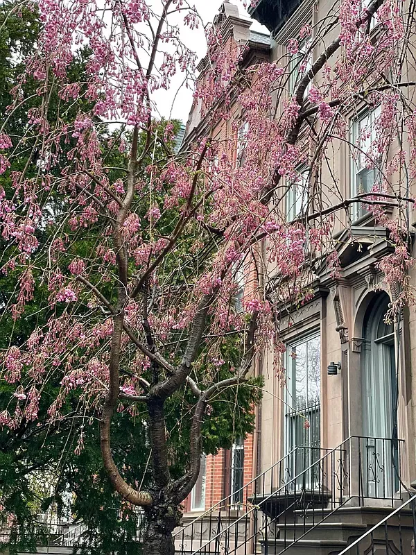 $4,000 | 238 Gates Avenue, Unit 2 | Bedford-Stuyvesant