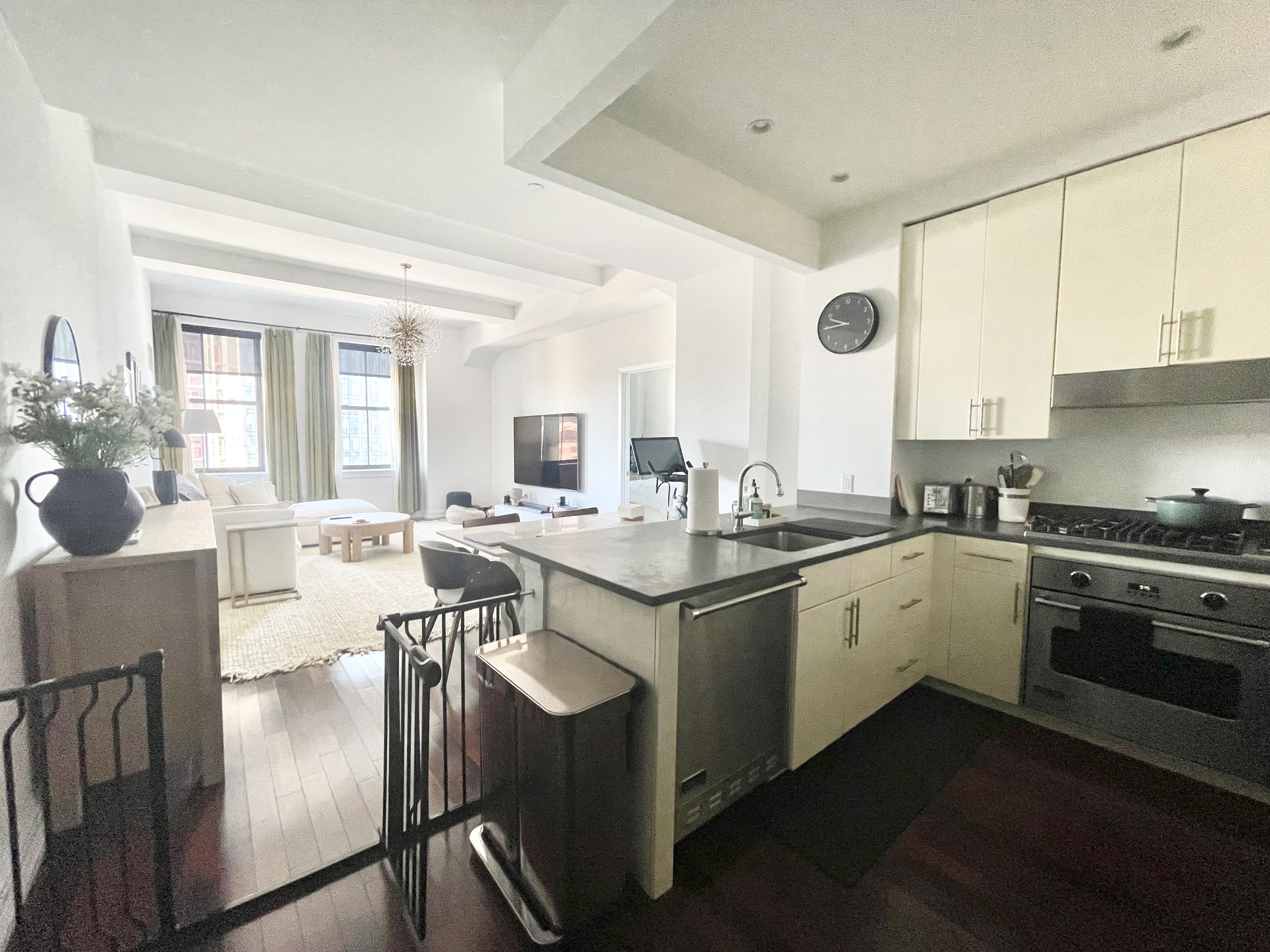 1 Hanson Place, Unit 11M Brooklyn, NY 11243 - Photo 7 of 26