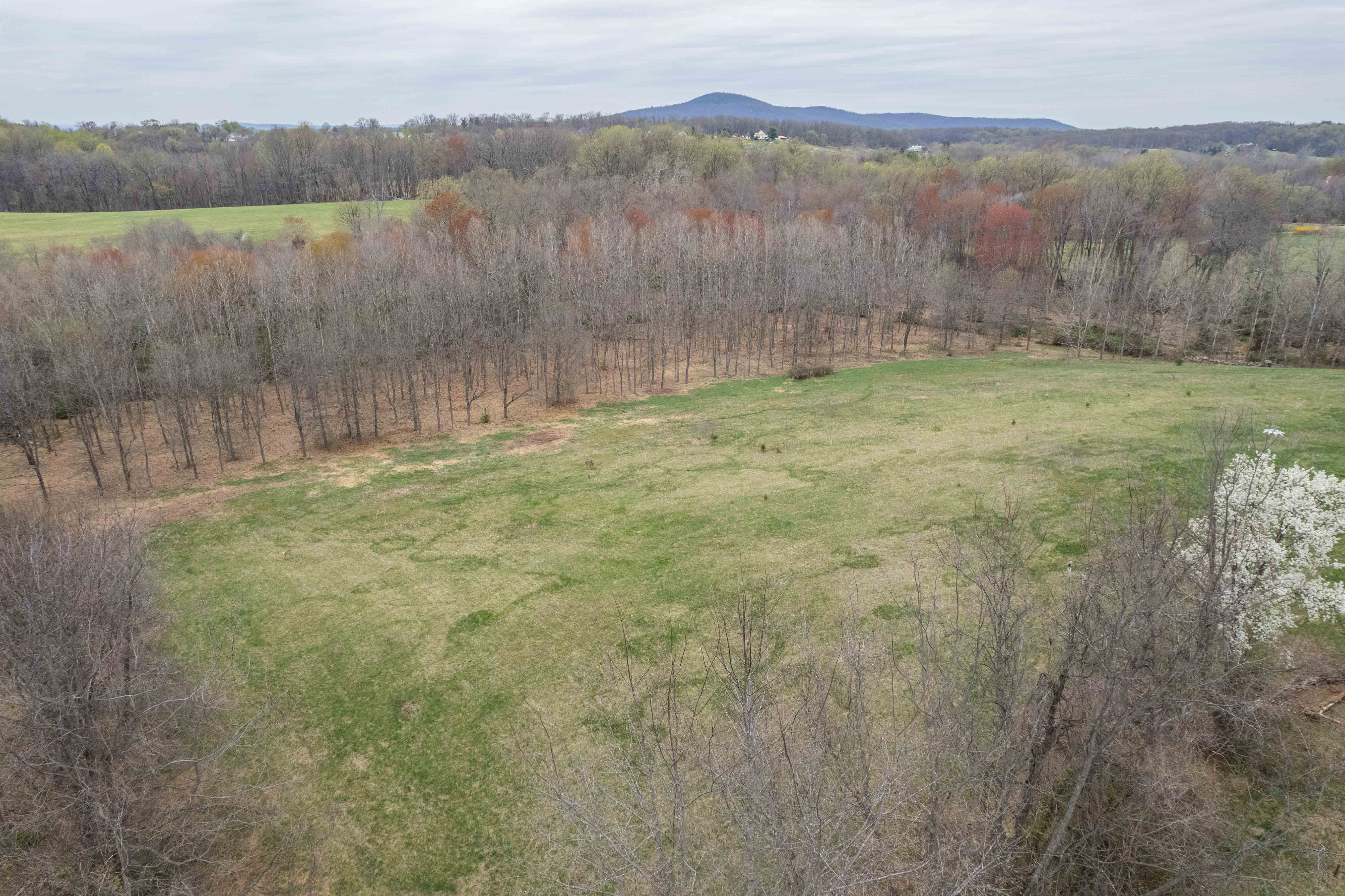 21730 Peach Tree Road Dickerson, MD 20842 - Photo 8 of 11 a view of lake with mountain in the background