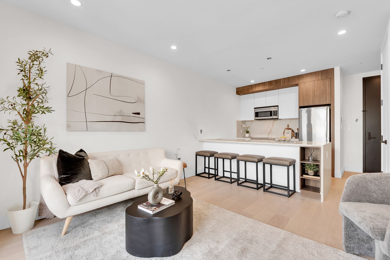 156 Somers Street, Unit 3B Brooklyn, NY 11233 - Photo 4 of 8 a living room with furniture and a potted plant