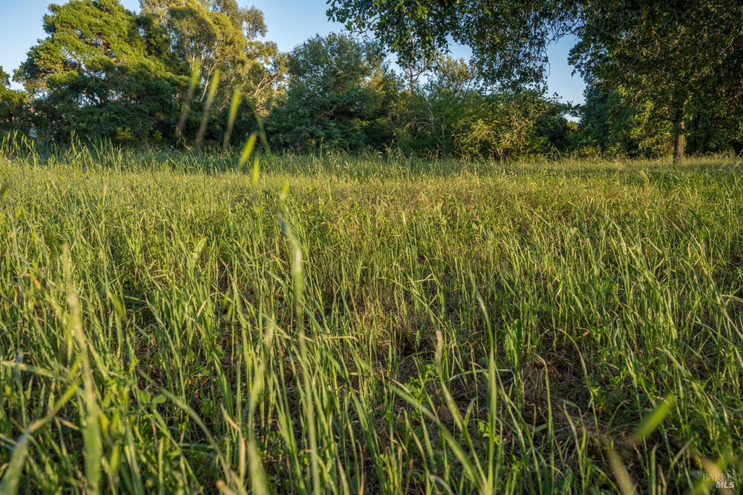 18320-18330 Carriger Road Sonoma, CA 95476 - Photo 45 of 46