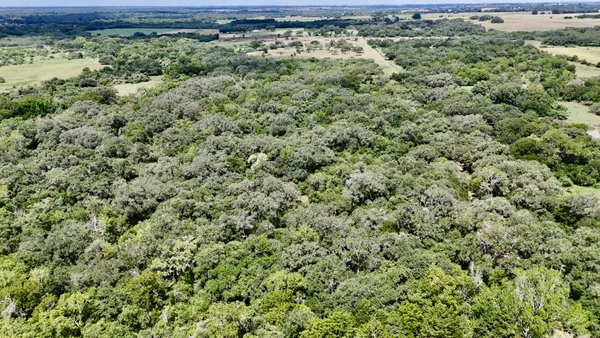 a view of a large yard with lots of green space