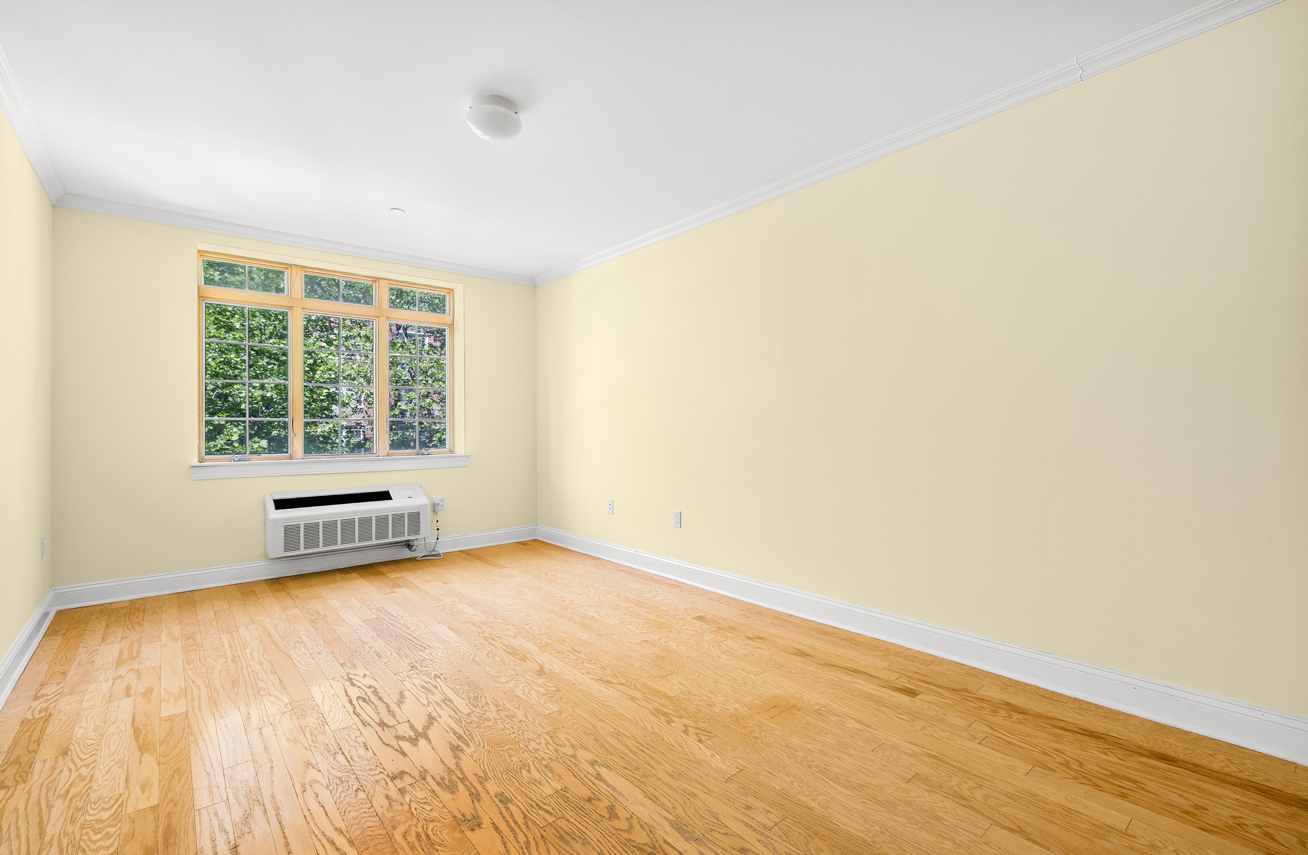85-15 120th Street, Unit 3C Queens, NY 11415 - Photo 2 of 13
