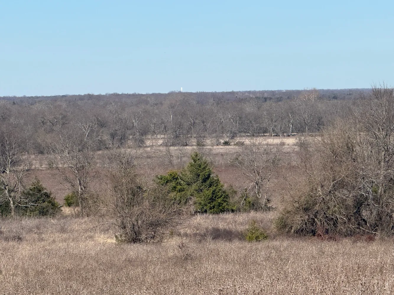 $420,000 | 2019 Farm To Market Road 2949, Cooper, TX 75432