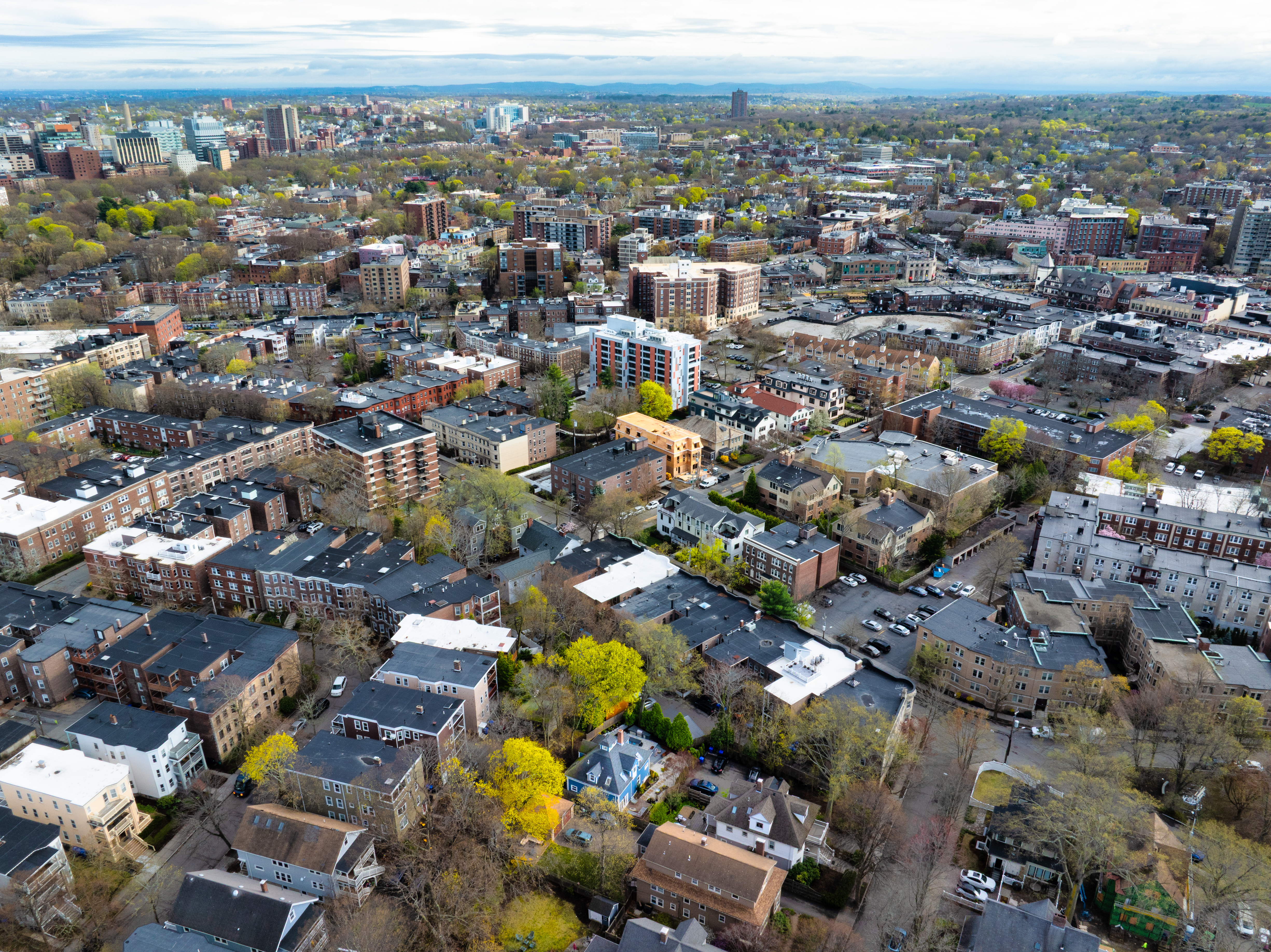 7 Stetson Street Brookline, MA 02446 - Photo 25 of 25