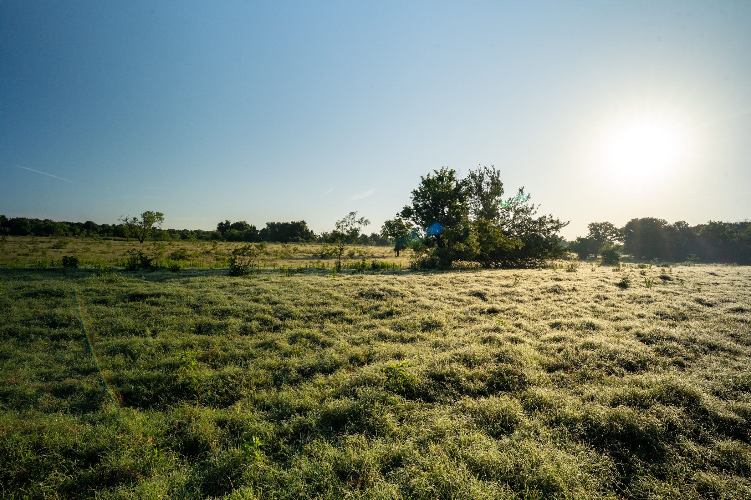 Straws Mill Road Gatesville, TX 76528 - Photo 1 of 1