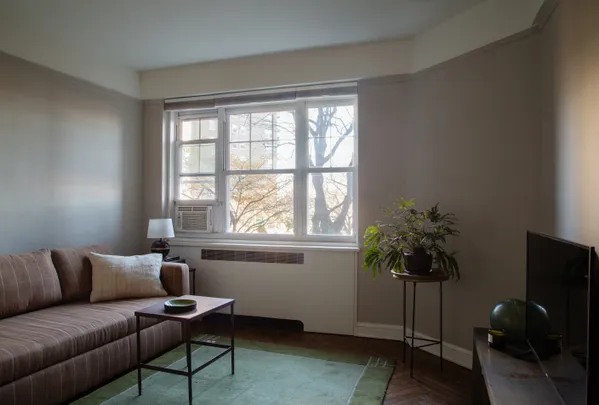 a living room with furniture potted plant and a window