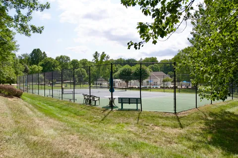 a view of a park with large trees