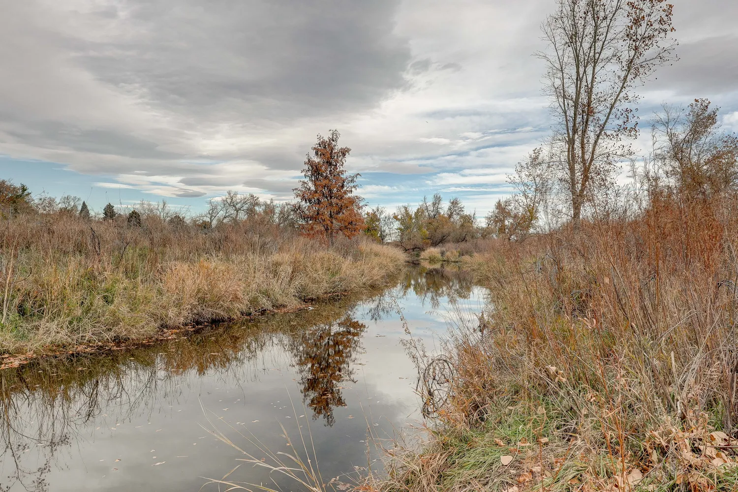 $295,000 | 3121 South Tamarac Drive, Unit 207K, Denver, CO 80231