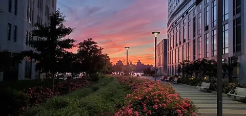 a view of a street with flower garden and wooden fence
