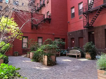 a view of a patio with table and chairs potted plants and large tree