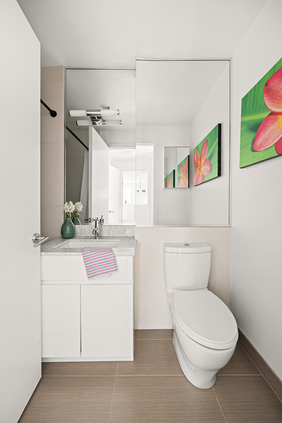 823 Classon Avenue, Unit 4B Brooklyn, NY 11238 - Photo 8 of 17 a bathroom with a sink a toilet and a mirror