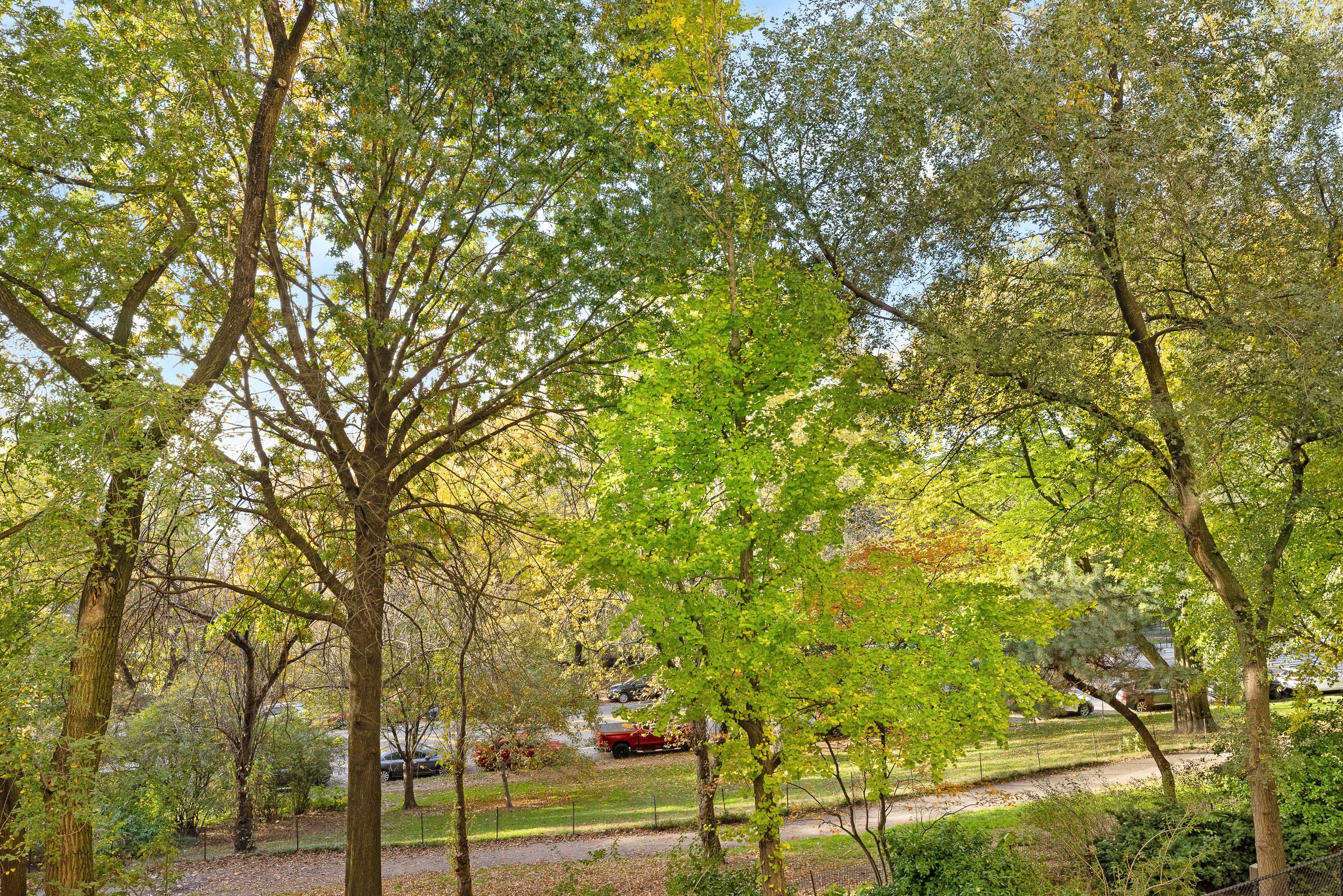 270 Riverside Drive, Unit 2C Manhattan, NY 10025 - Photo 19 of 22 a view of a yard with plants and trees