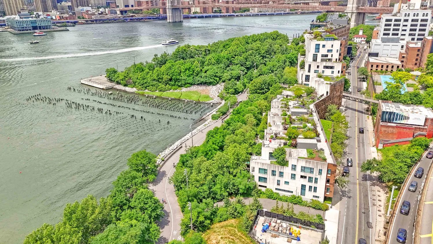 a view of a garden with flowers