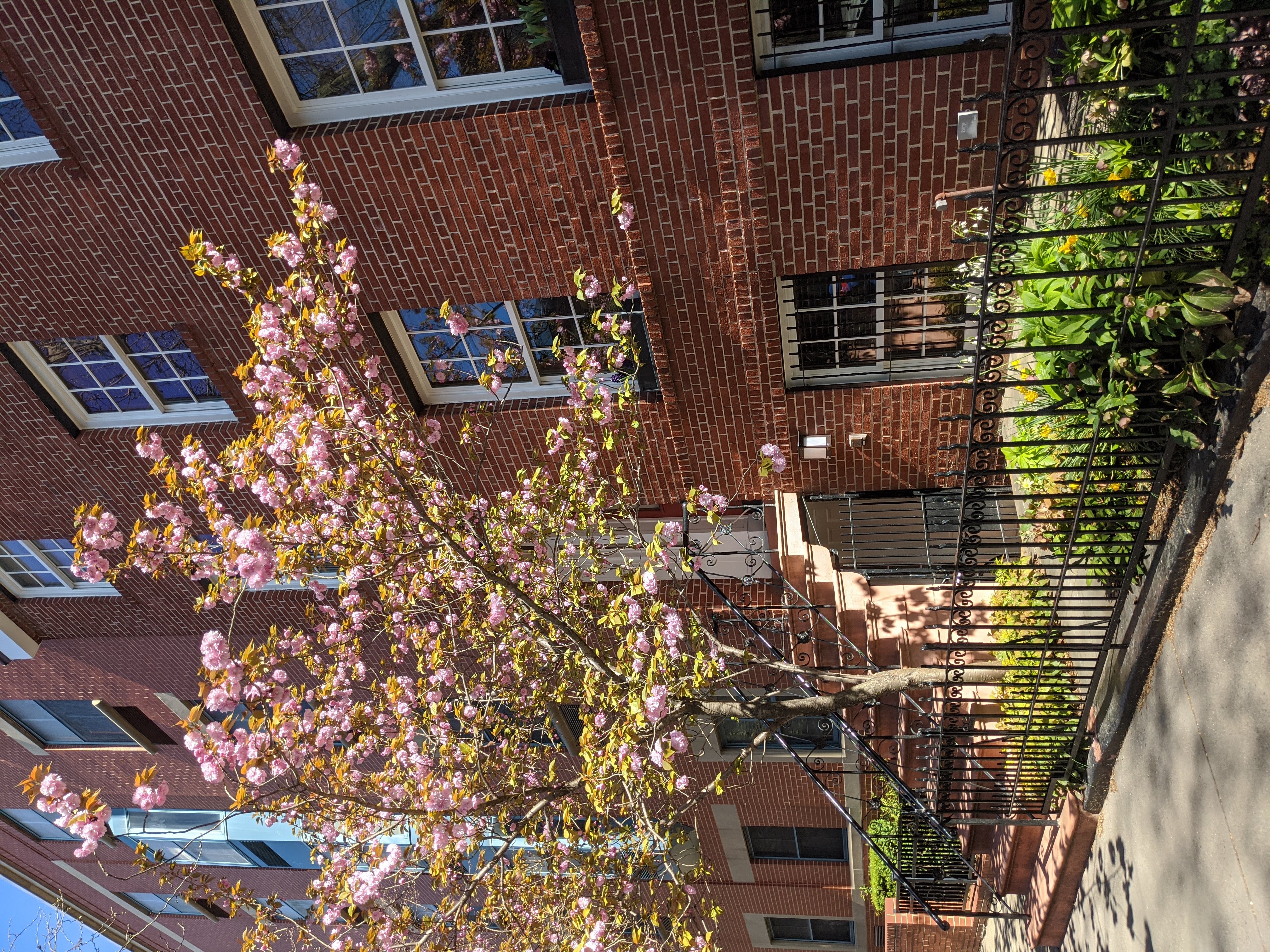 161 Dean Street Brooklyn, NY 11217 - Photo 19 of 20