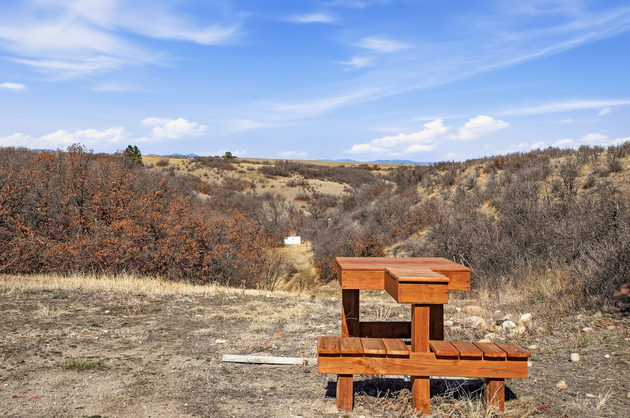 4347 Crowfoot Valley Road Castle Rock, CO 80108 - Photo 41 of 50