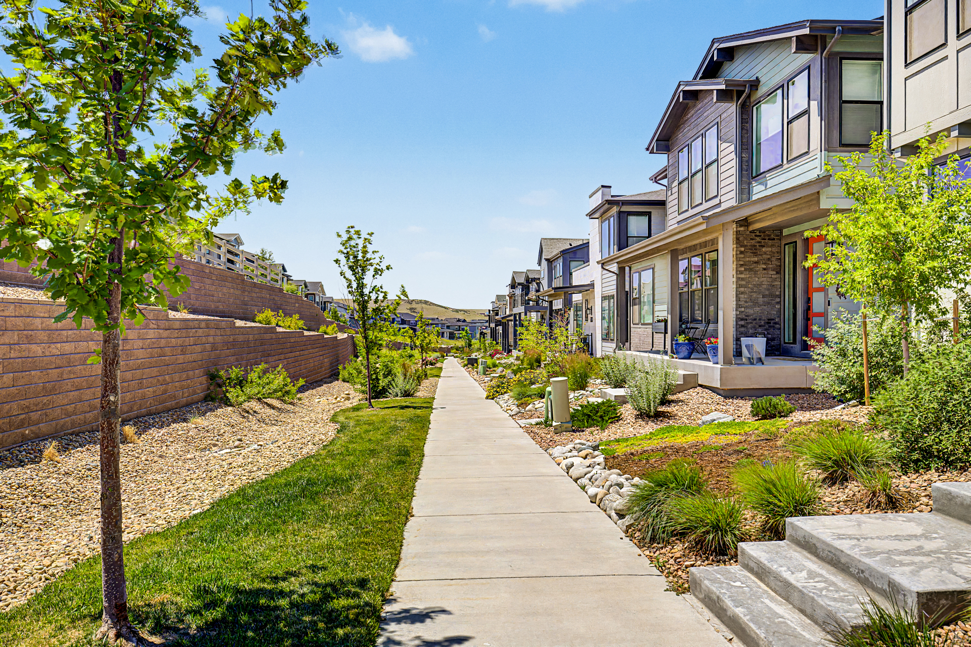 11860 Montoso Road Lone Tree, CO 80134 - Photo 47 of 51