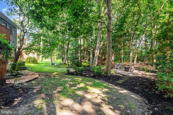 a view of a park with large trees