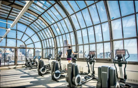 a living room with furniture or couch and a potted plant