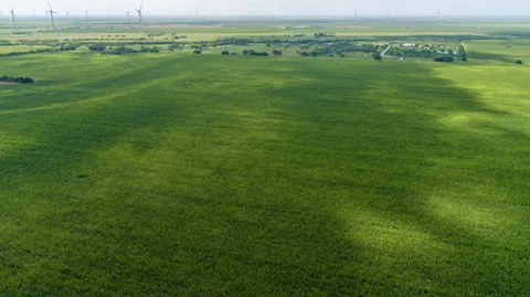 $1,050,000 | 0 Fm 888, Mathis, TX 78368