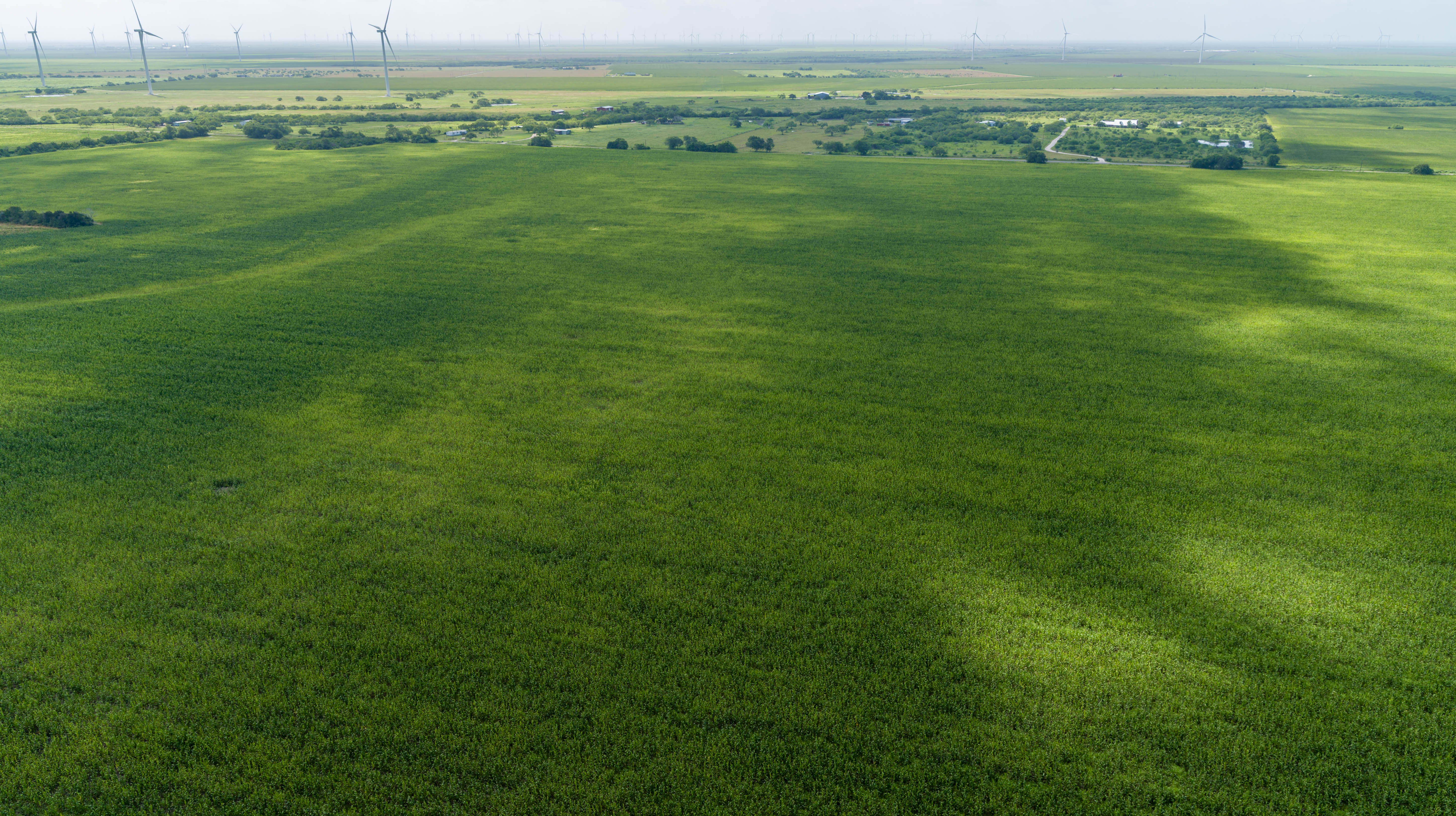 0 Fm 888 Mathis, TX 78368 - Photo 12 of 18