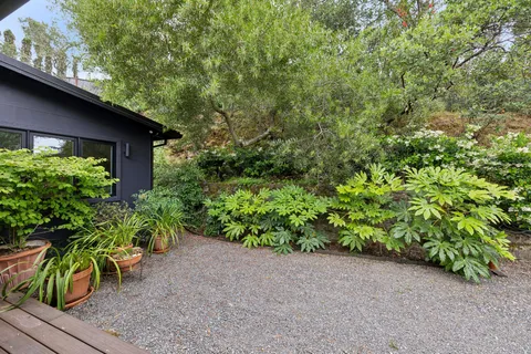 a view of a garden with a fountain