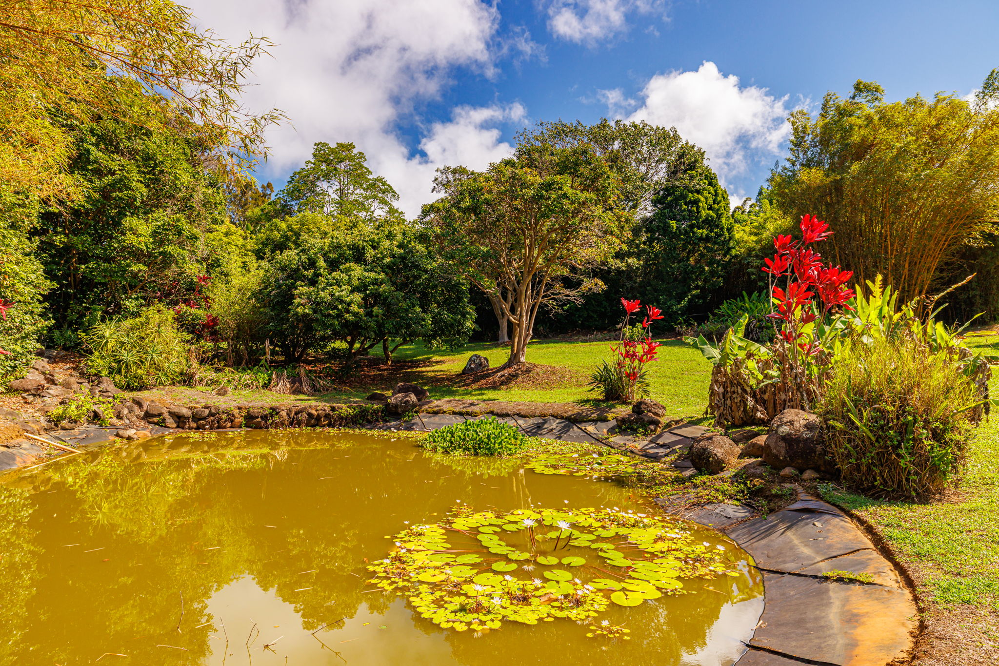 620 Awalau Road Haiku, HI 96708 - Photo 14 of 14 Gallery Image 14