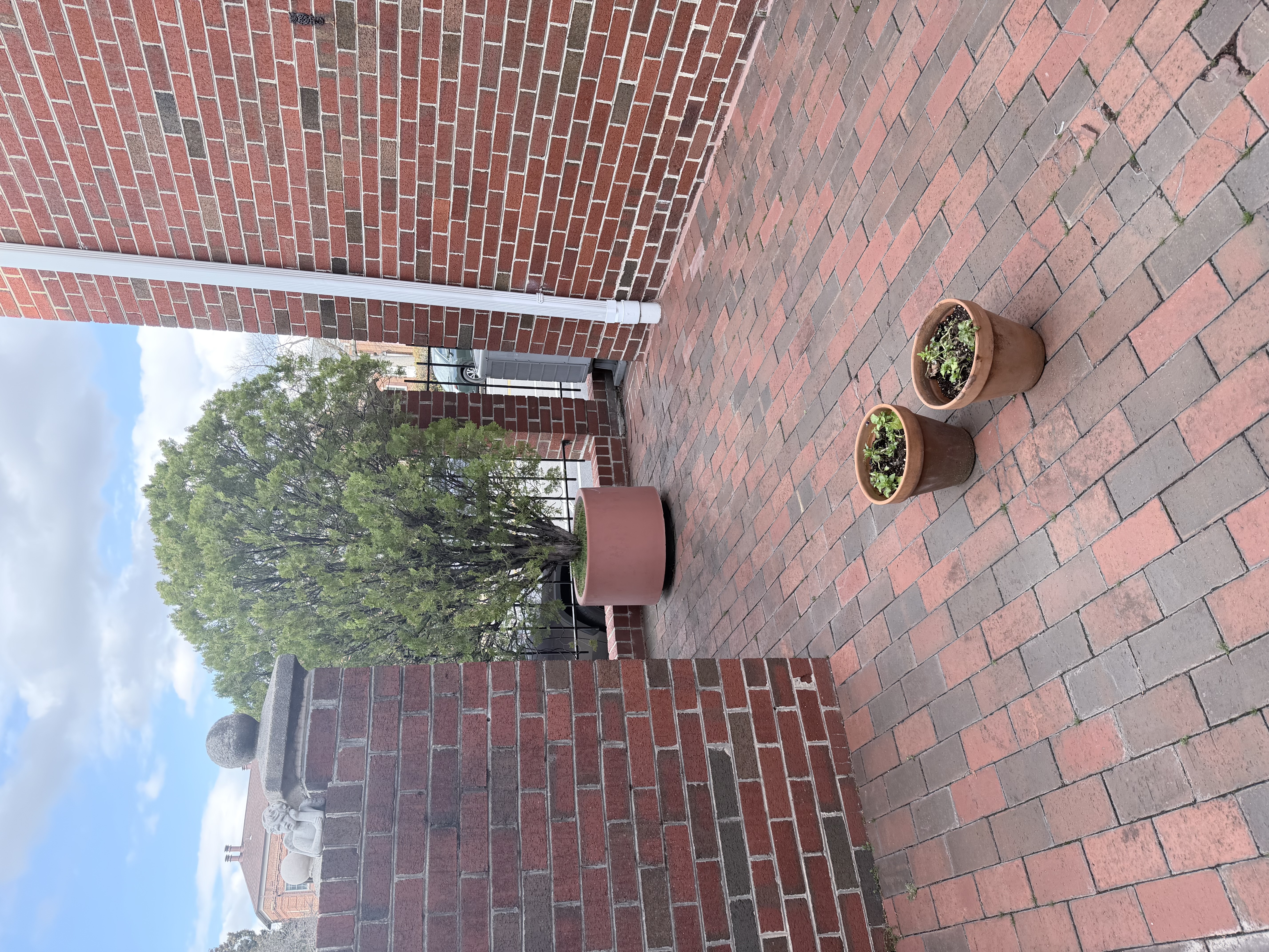 402 2nd Street Alexandria, VA 22314 - Photo 5 of 15