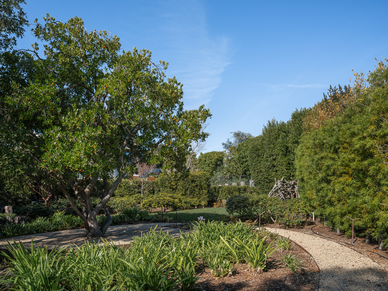 20 Crest Road Belvedere, CA 94920 - Photo 47 of 66 a view of a garden with plants and large trees