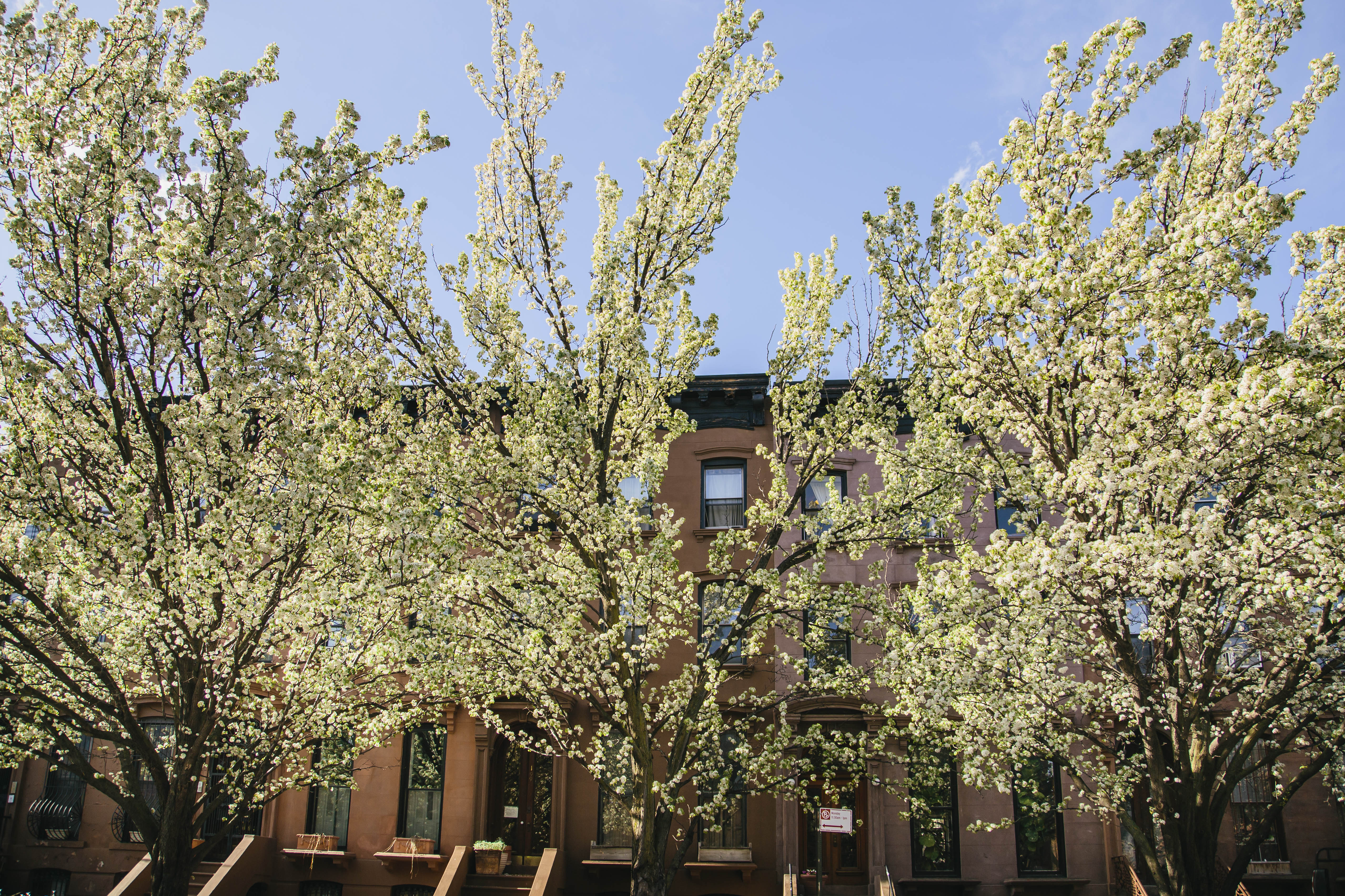 171 Lefferts Place, Unit 2A Brooklyn, NY 11238 - Photo 6 of 7