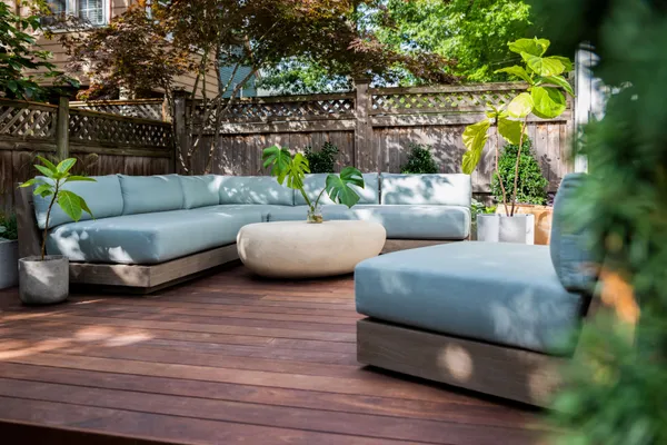 a living room with furniture and a potted plant