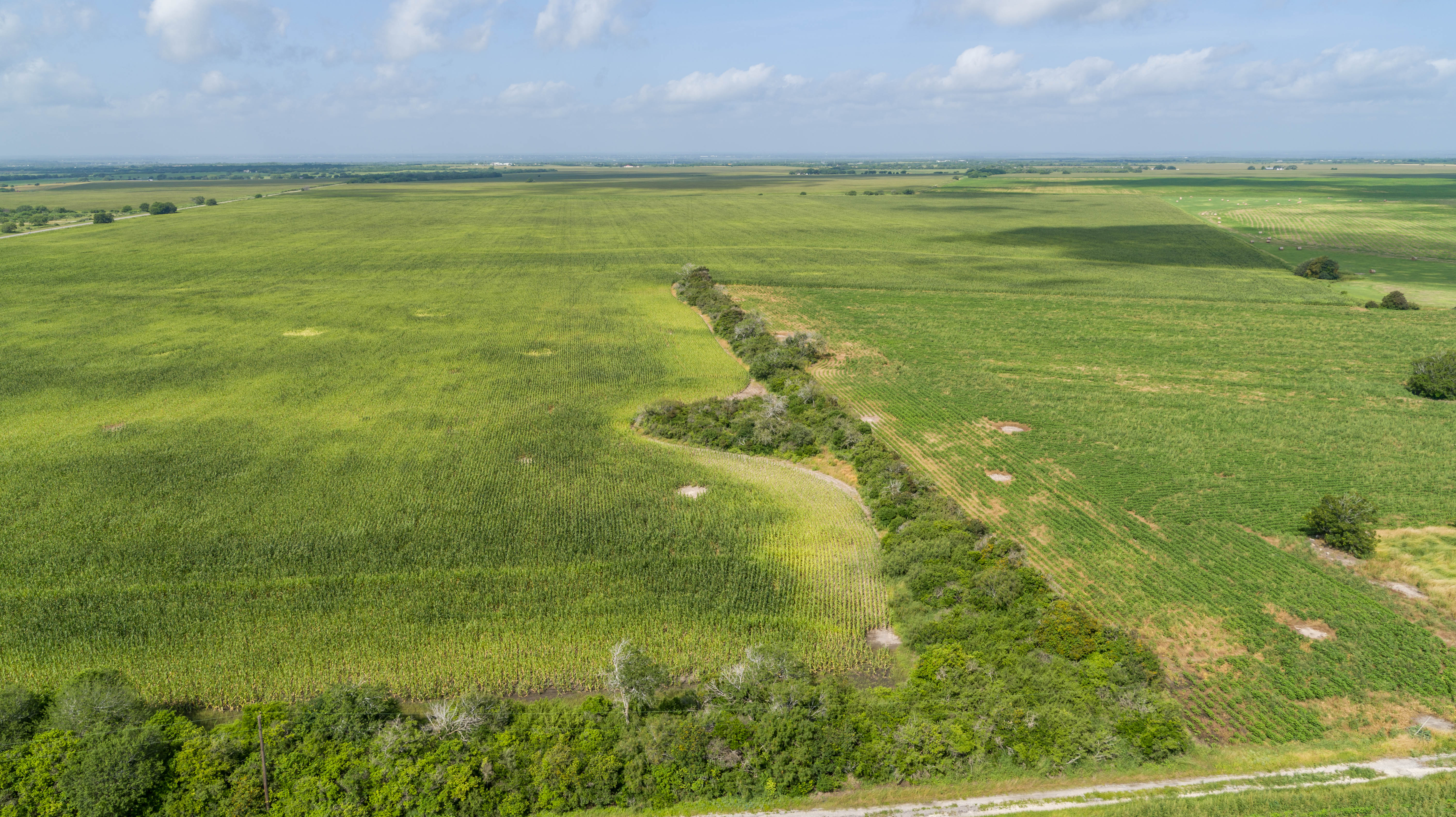 0 Fm 888 Mathis, TX 78368 - Photo 5 of 18
