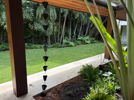 a view of a backyard with plants and a small yard