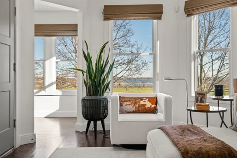 a living room with furniture and a potted plant